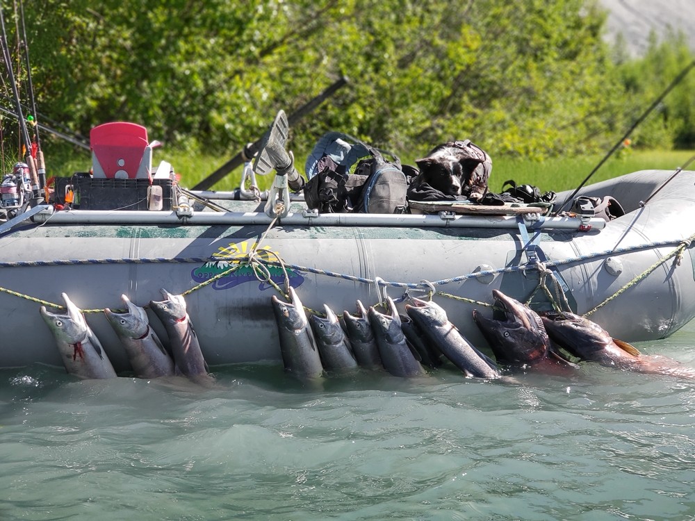 copper-river-guides-fishing-charters-salmon-trout-alaska-org